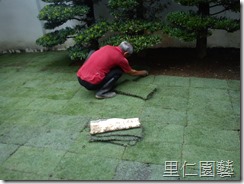 庭院草皮鋪設實作介紹