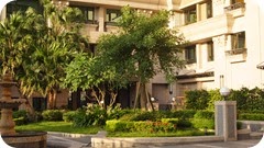 社區庭園景觀維護