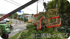 2015台北花卉展綠美化工程-1