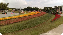 2015台北花卉展 完工了 - 圖5