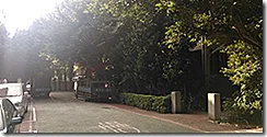 三重商工校園樹木修剪