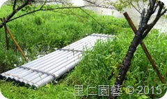 松山文創園區「生態景觀池挺水水草疏除」 - 圖3