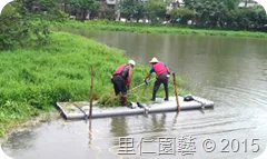 松山文創園區「生態景觀池挺水水草疏除」 - 圖6