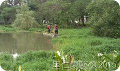 松山文創園區「生態景觀池挺水水草疏除」 - 圖7