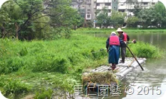 松山文創園區「生態景觀池挺水水草疏除」 - 圖8