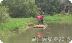 松山文創園區「生態景觀池挺水水草疏除」 - 圖9