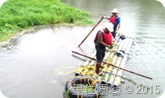 松山文創園區「生態景觀池挺水水草疏除」 - 圖10