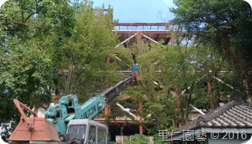 《照顧修剪一棵樹，需要先認識了解它》 里仁園藝參與ＩＳＡ樹藝師培訓課程心得分享 - 圖6