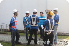 颱風季節來臨前的修剪工作