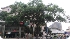 搶救樹林茄苳老樹 木欄圈護棲地改良