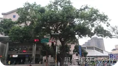 搶救樹林茄苳老樹 木欄圈護棲地改良