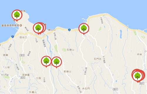 千年雀榕島根X導根