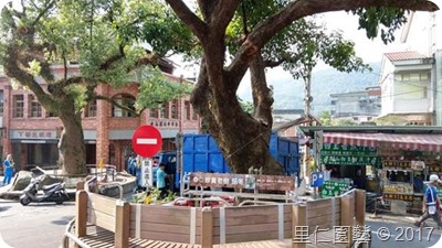 樹木修剪健康照顧、老樹襲產永世流傳