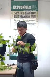 講師於教室內示範樹木修剪概念，手持枝條講解