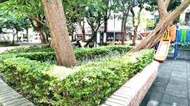 修剪整齊後的方形花台綠籬,磚砌邊框與中央喬木相映