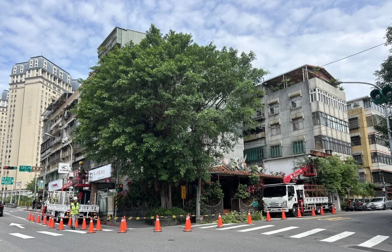 怡仁生態景觀吊車作業：師傅搭吊車籃在台北市社區大樹旁精細修剪