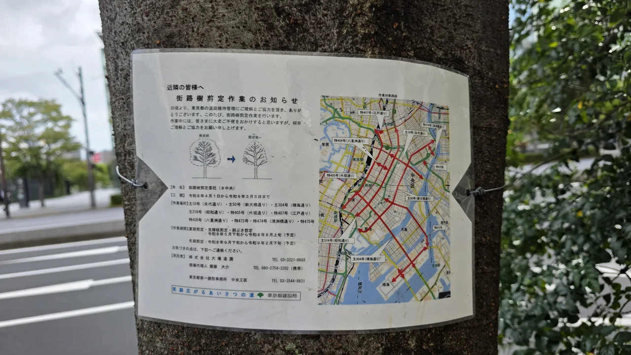 東京街路樹剪定作業公告近拍，含修剪前後示意圖與施工範圍地圖