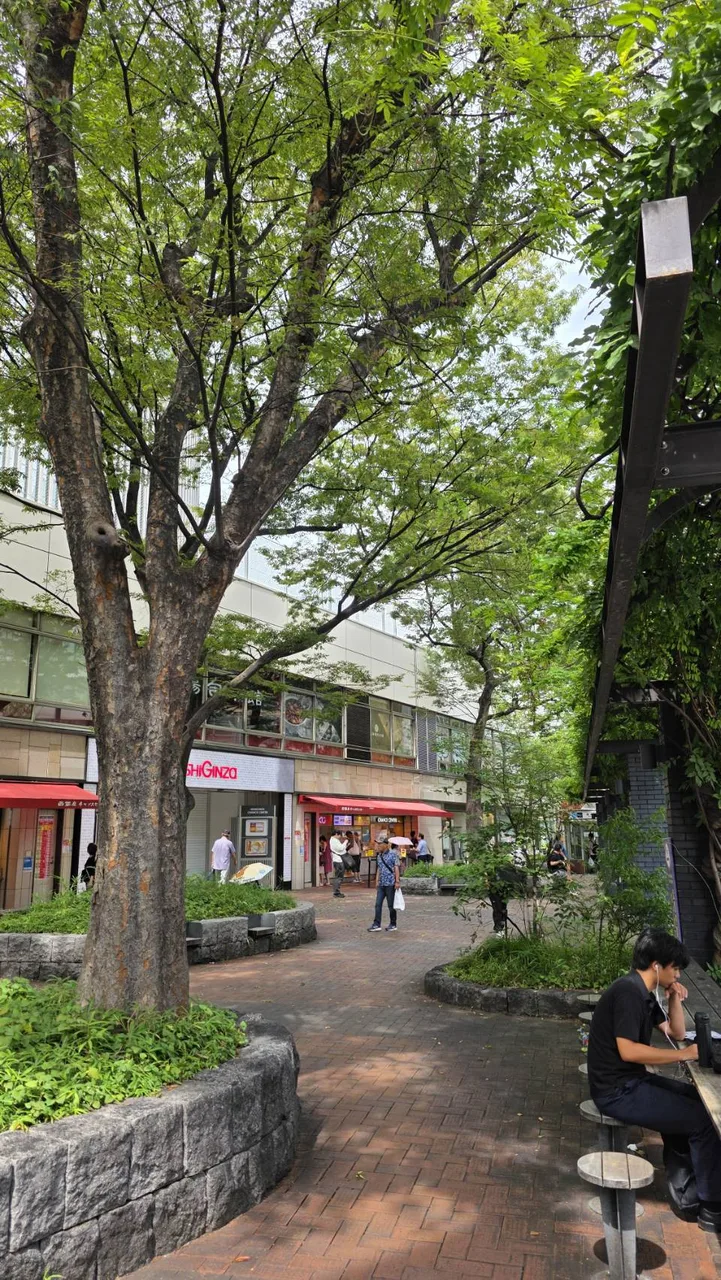 東京人行道旁高大街路樹形成綠蔭，行人坐在樹下休息