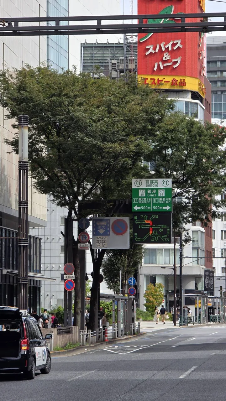 東京街道上大型街路樹與建築、號誌和車道共同構成都市空間