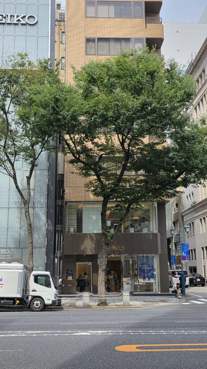 東京街角街路樹公告與道路車流，呈現修剪公告所在的城市脈絡