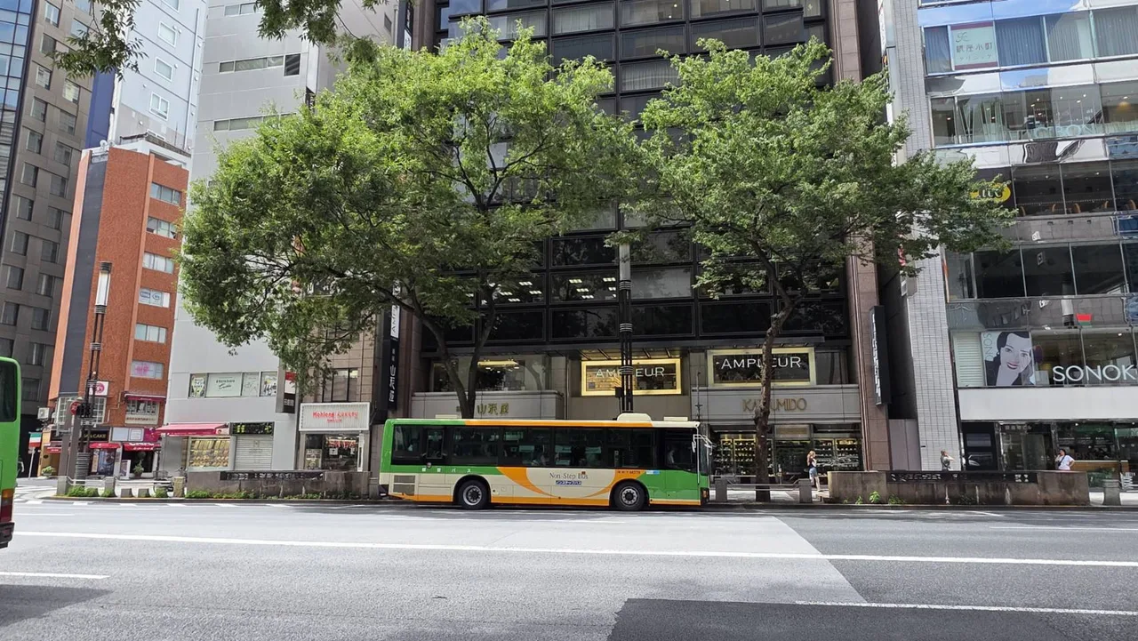 東京街道中公車通過樹冠下方，顯示枝下空間與交通動線