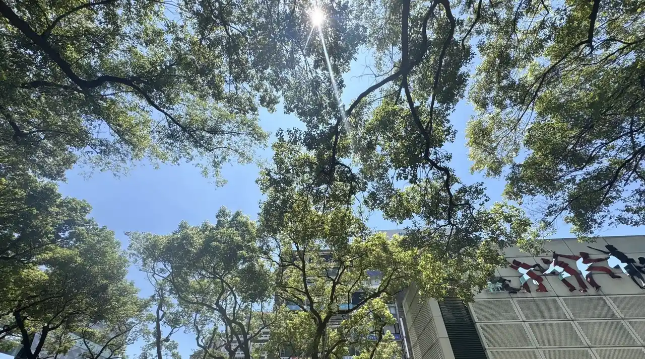 台北樹木照護年度行事曆：每月該做什麼？｜怡仁生態景觀