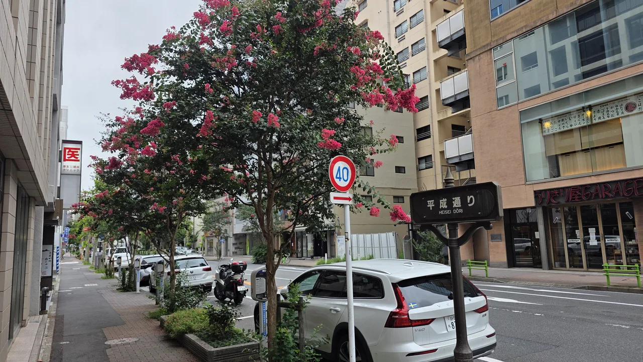 東京街道旁的行道樹與建築，呈現都市樹木和道路空間共存的樣貌