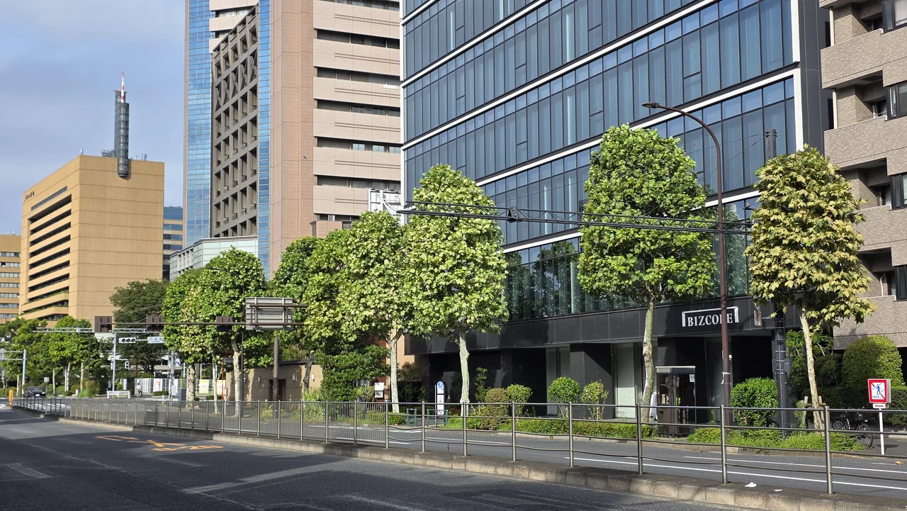東京街道上的行道樹與建築立面，呈現城市樹木管理需要長期紀錄