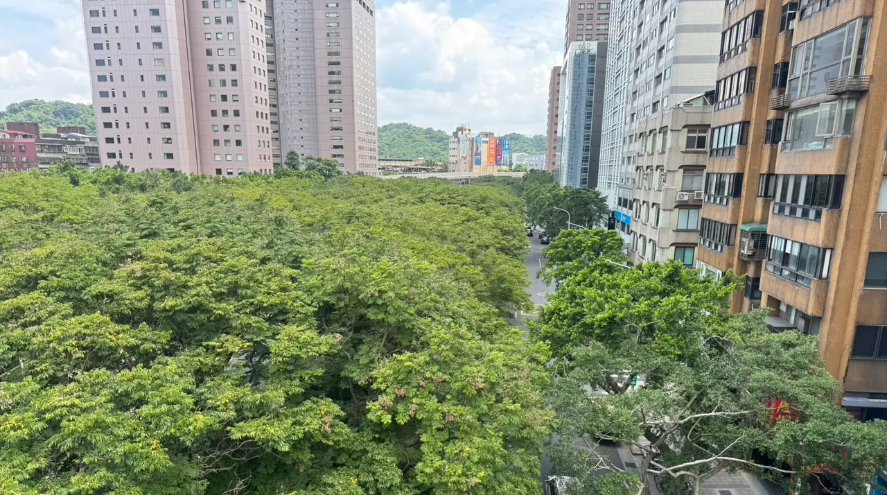 樹木事件記錄系統，還缺了什麼？現場ISA樹藝師的兩點觀察｜怡仁生態景觀
