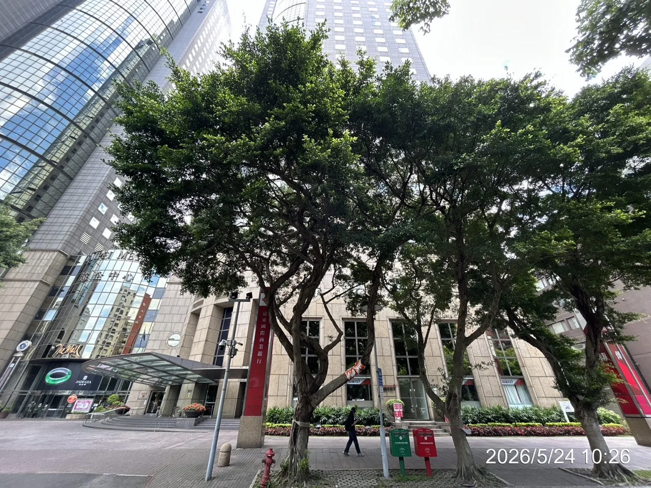 台北市社區樹木修剪費用怎麼算？修樹報價、吊車清運與防踩雷全解析