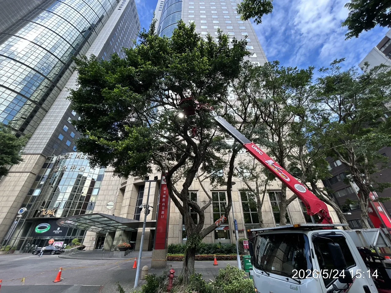 怡仁生態景觀吊車進場修剪作業,社區都市樹木高空作業