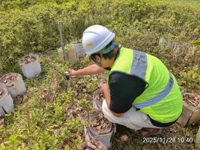 pH 計量測土壤酸鹼值——根圈動態監控