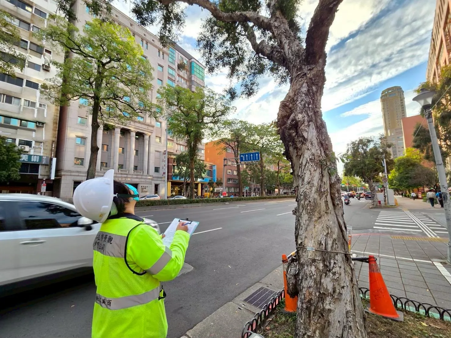 樹藝師於台北市街道進行行道樹現場勘查,手持記錄表填寫檢測資料