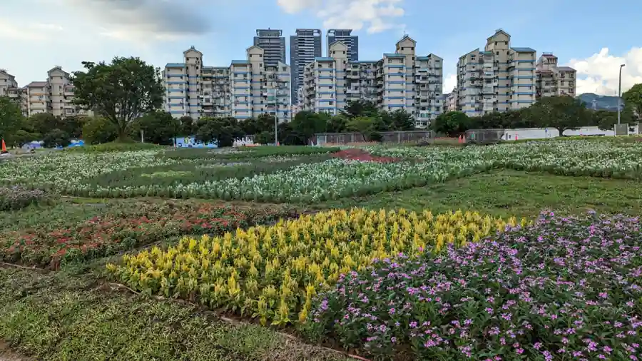 怡仁生態景觀工班作業日常