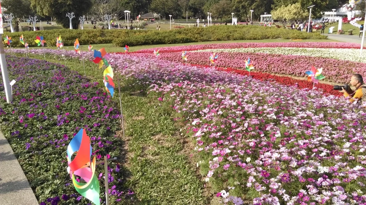 台北花卉展・花海景觀及夜景燈光工程