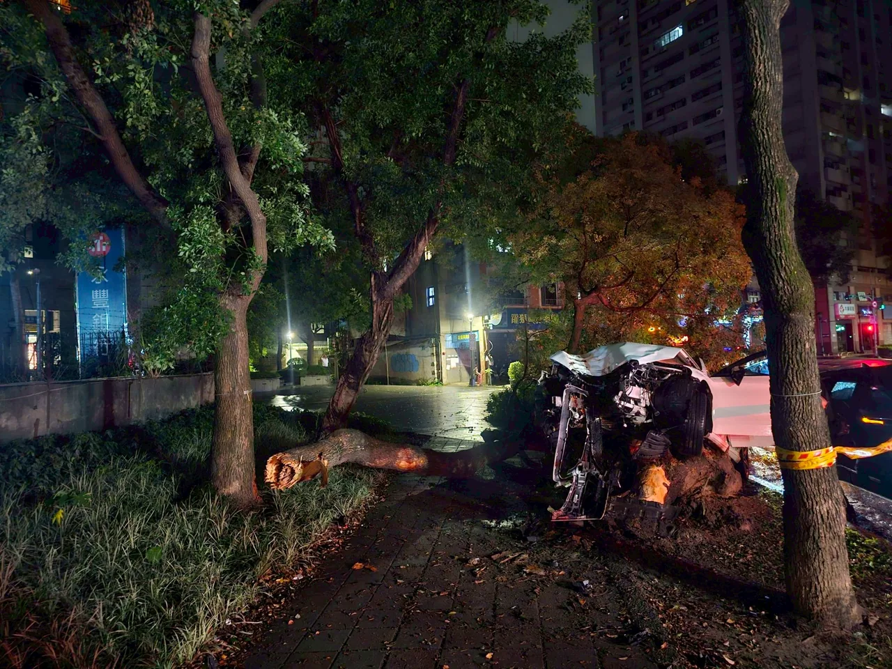 高空作業車搶修路樹