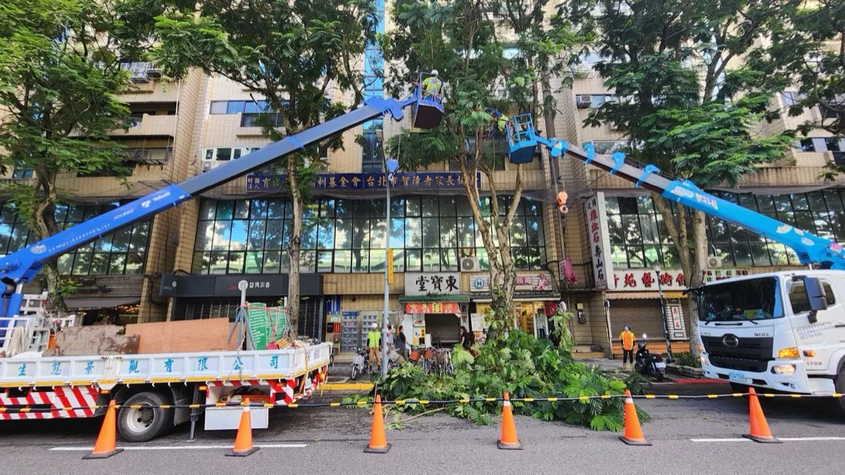 社區大樓前雙吊臂高空作業車同時修剪路樹,工作人員於吊籃中施作